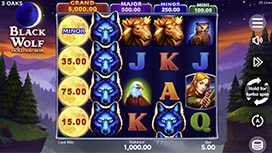 Black Wolf Hold and Win Online Slot Available at PlayFame.com